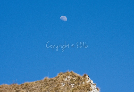 Luna - Colme di Vignola (TN)